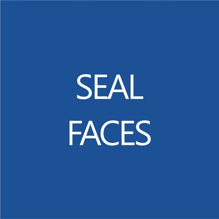 Faces de Vedação